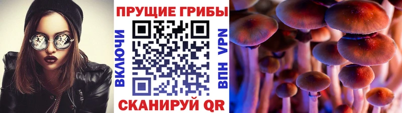 Галлюциногенные грибы Cubensis  Купить  Великий Новгород 